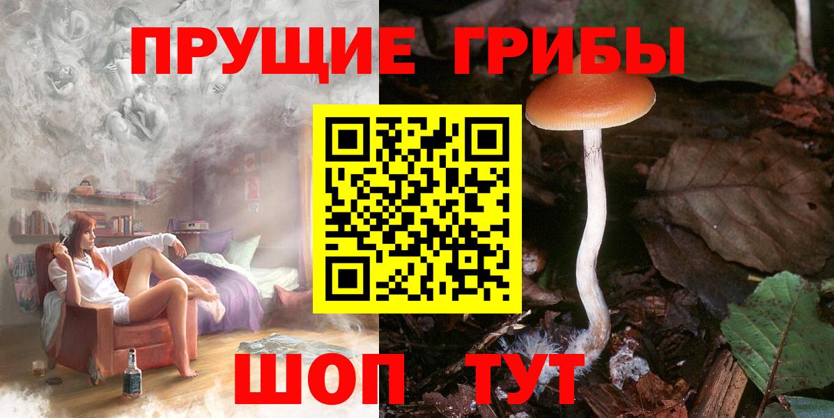 купить  сайты  Псилоцибиновые грибы Psilocybine cubensis  Вход с VPN  Красногорск  Галлюциногенные грибы Psilocybine cubensis 